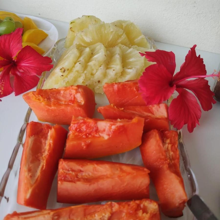 Pousada Brilho Do Sol São Miguel do Gostoso Zewnętrze zdjęcie
